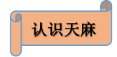 image001.png