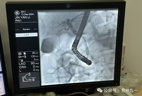 image003.png image003.png